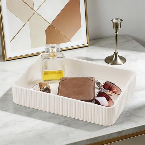 Desk Organizer Tray