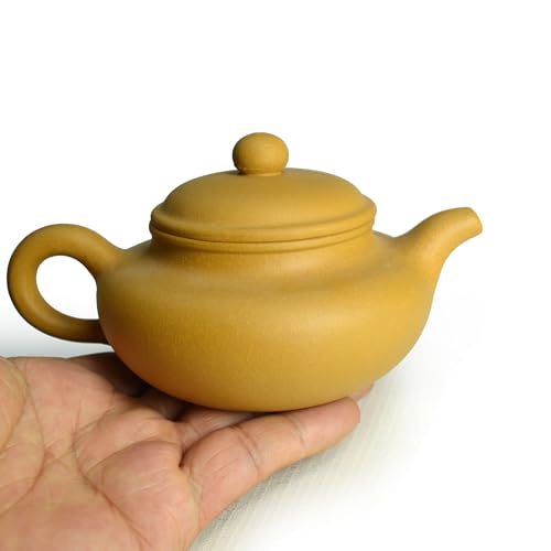 Teapot 8oz Chinese Yixing Clay Genuine Zisha Classics Pot Infusers Kungfu Tea