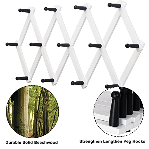 Accordian Wall Hanger