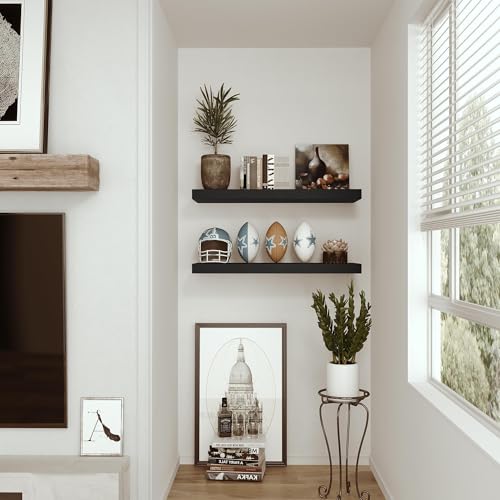 Deep Floating Shelves for Wall 24 inches Long Set of 2 (2 Count)