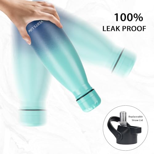 Insulated Water Bottle (2 Count)
