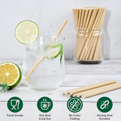 500 Counts] Chunspak 5.75 inch Disposable Brown Kraft Short Paper Cocktail Straws & Stirring Straws