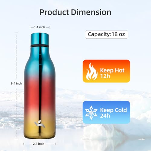 18 oz Insulated Stainless Steel Metal Water Bottle with Strap