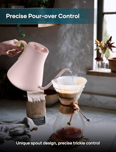Gooseneck Electric Kettle with ±1℉ Temperature Control 0.9 Liter