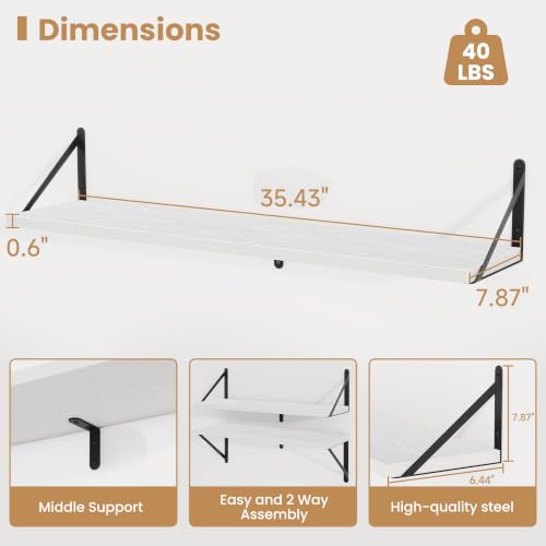 Floating Book Shelves for Wall (3 Count)