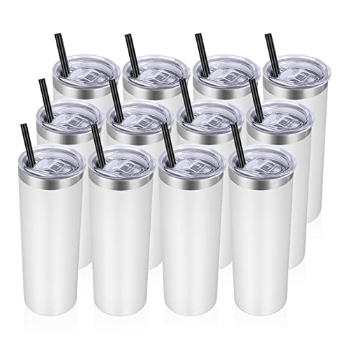 Stainless Steel Tumblers Bulk 12 Pack (12 Count)