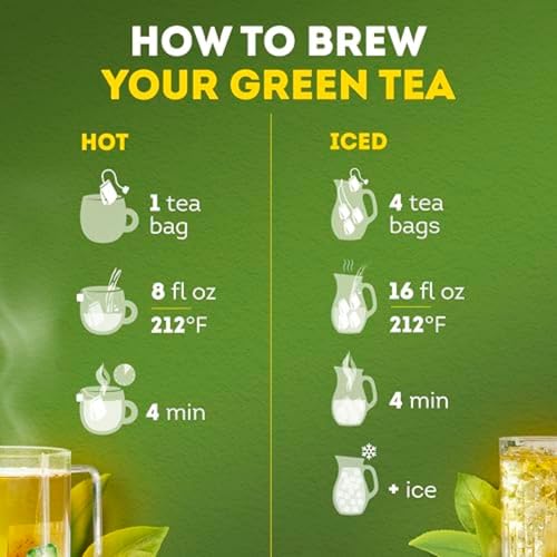 Signature Blend Green Tea with Jasmine 240 (240 Count)