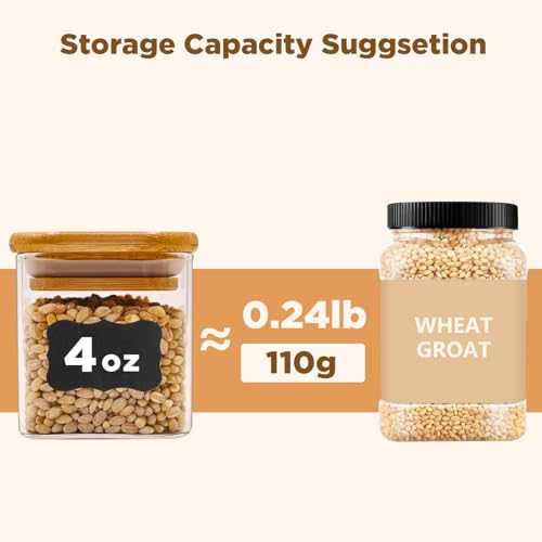 Glass Food Storage Jars Square 4oz (12 Count)