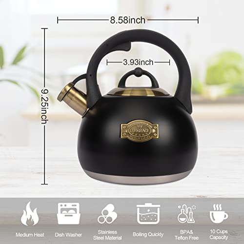 Tea Kettle for Stovetop