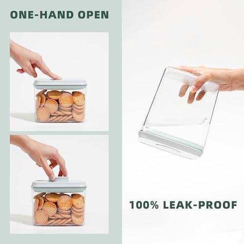 Airtight Food Storage Containers