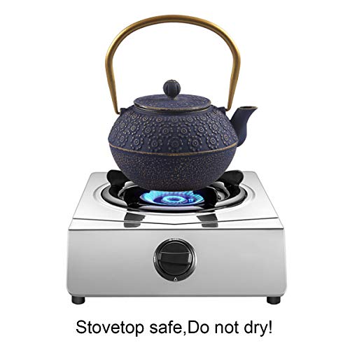Teapot Cast Iron Tea Kettle for Stovetop Safe Coated with Enameled Interior