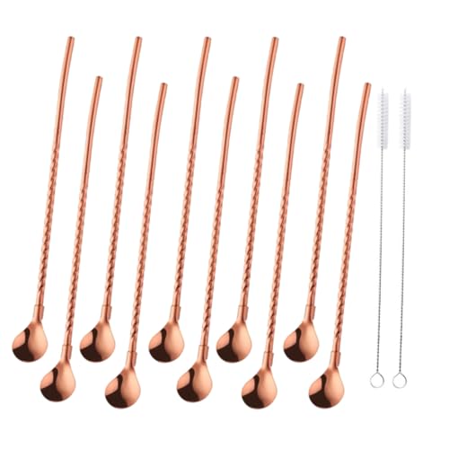 10 pcs Metal Straw Spoons with 2 Cleaning Brushes