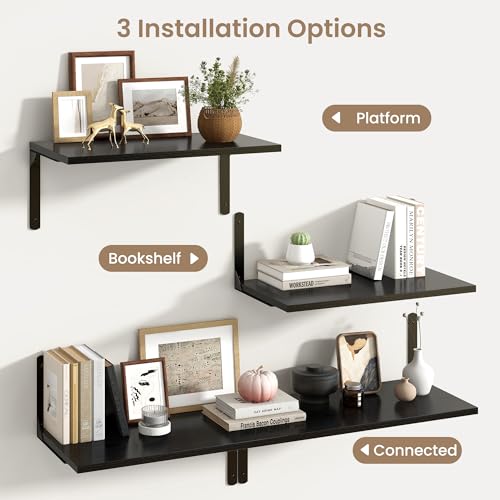 Floating Shelves for Wall (2 Count)