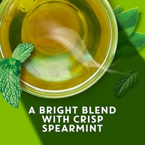 Tea Bag K Cup Pods (22 Count)
