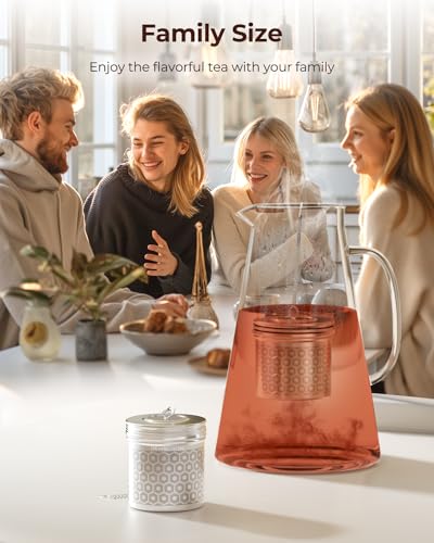 2 Pack Extra Large Tea Infuser for Loose Leaf Tea & Spice Ball (2 Count)