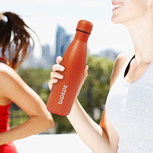 25 oz Insulated Water Bottle