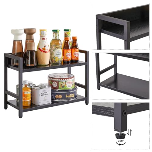 2 Tier Spice Rack