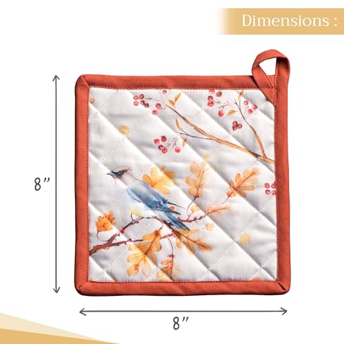 Pot Holders 100% Cotton Potholders (2 Count)