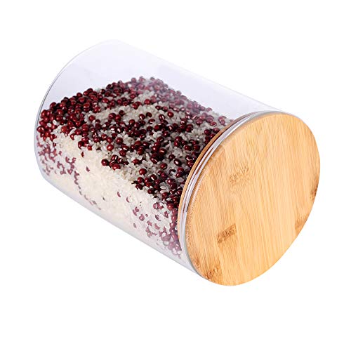 Large Glass Food Storage Container