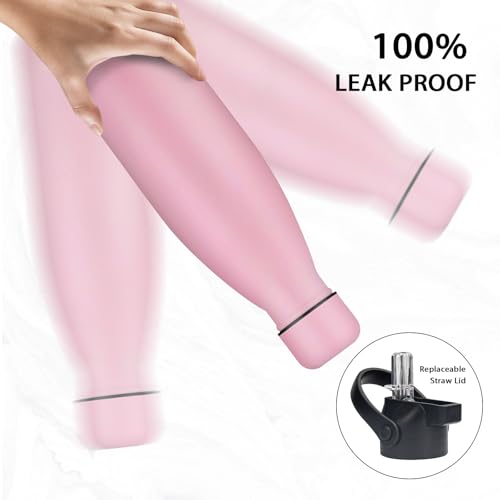 Insulated Water Bottle (2 Count)