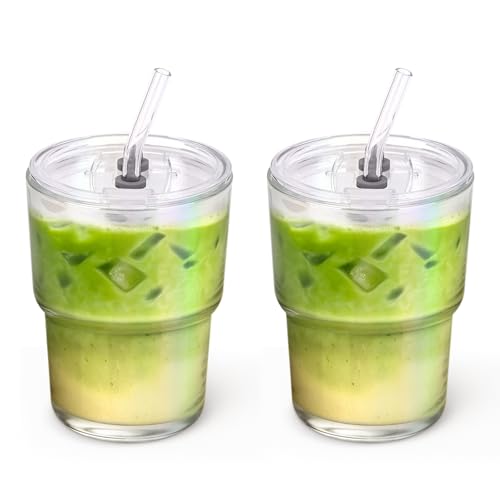 13 oz Glass Tumbler with Glass Straw and Lid (2 Count)