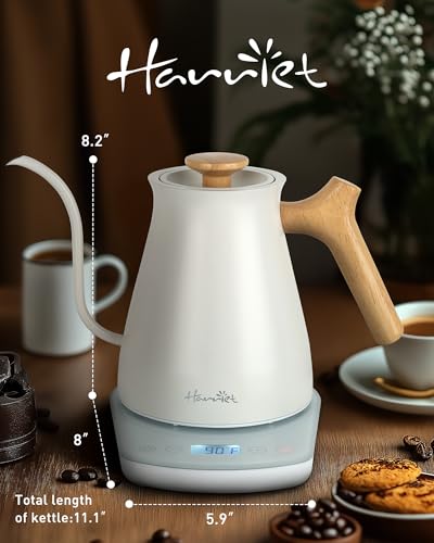 Gooseneck Electric Kettle