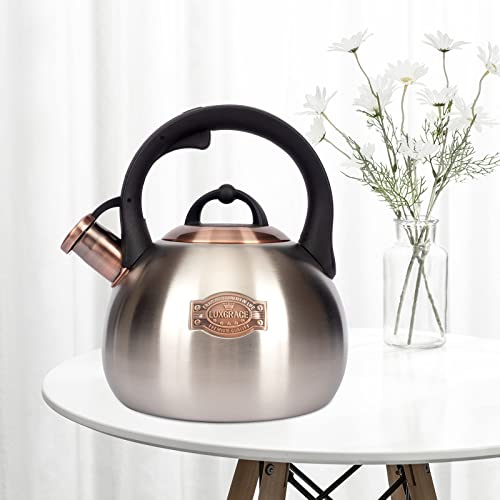 3.1 Quart Teal Whistling Tea Kettle for Stove Top