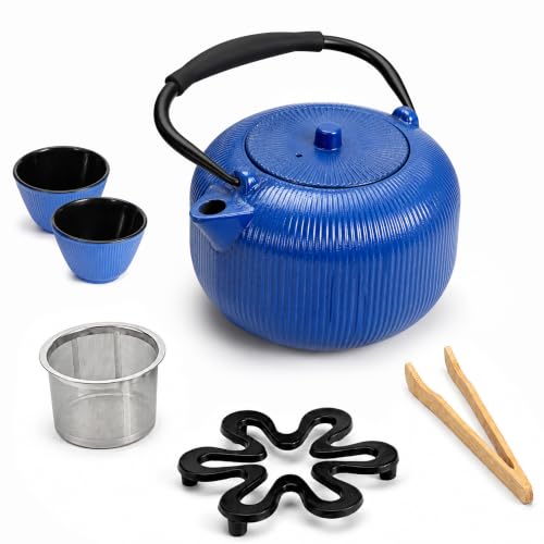 Cast Iron Teapot Set with 2 Cups