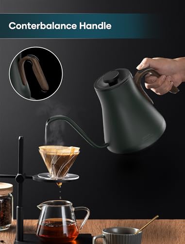 Gooseneck Electric Kettle with ±1℉ Temperature Control 0.9 Liter