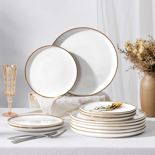 Ceramic 10.43 Inch Dinner Plates Set of 6