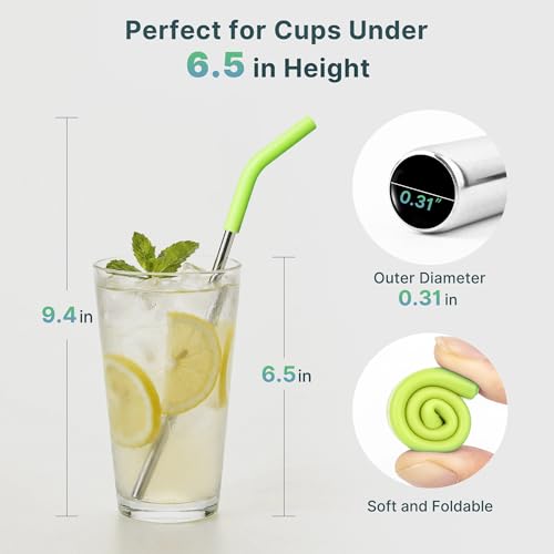 Short Metal Straw with Silicone Tips
