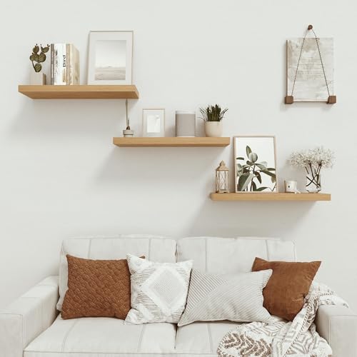 Deep Floating Shelves for Wall 24 inches Long Set of 2 (2 Count)