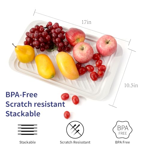 17" x 10.5" Grilling Prep and Serve Trays (2 Count)