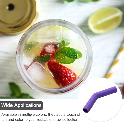 6Pcs Silicone Straw Tips (6 Count)