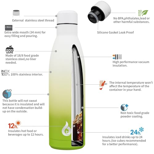 25 oz Insulated Stainless Steel Water Bottle