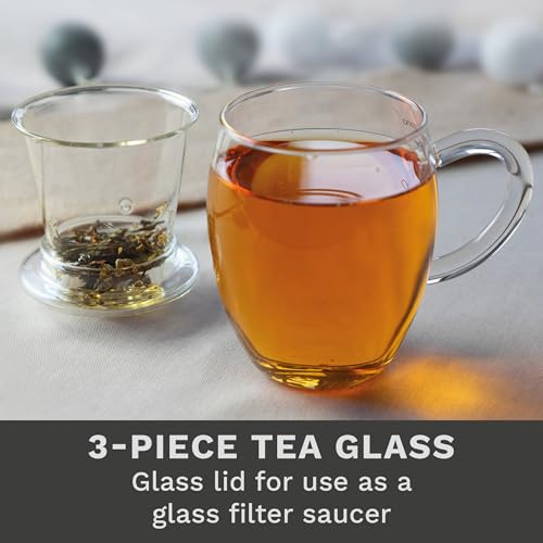 2x All-In-One Tea Glass with integrated Glass Filter and Lid - 14oz (400ml) (2 Count)