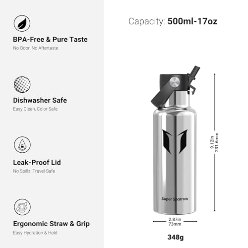 Insulated Water Bottle