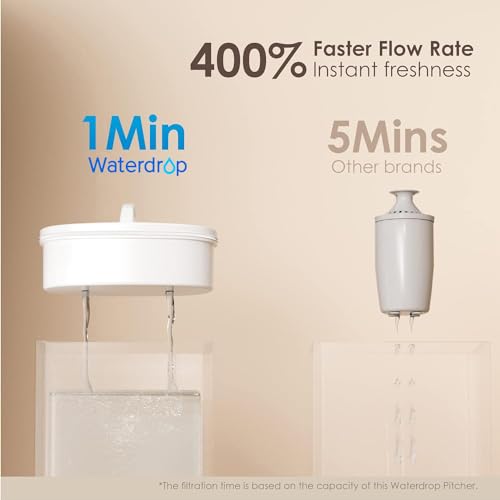 PT-04B 10-Cup Water Filter Pitcher with 4 Filters, NSF Certified (2 Count)