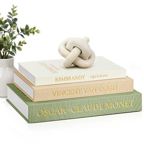 Aesthetic Decorative Books (3 Count)