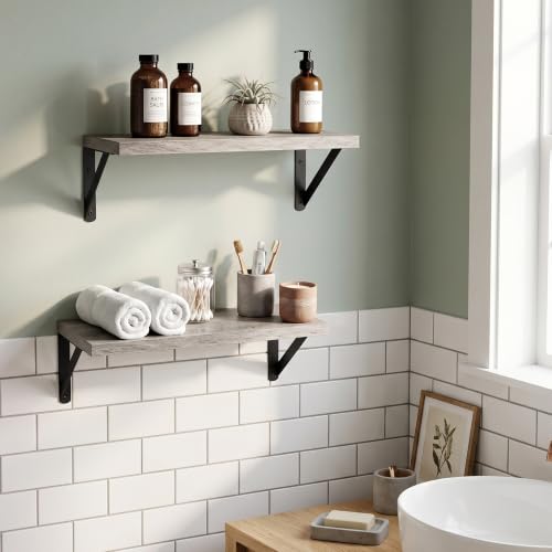 Wall Mounted Floating Shelves Set of 2 (2 Count)