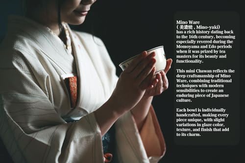 Japanese Traditional Handcrafted Mino Matcha Chawan Tea Bowl Cup Ceremony Tableware Pottery