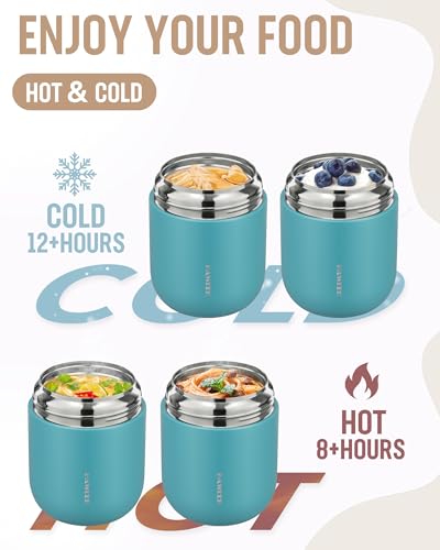 17oz Insulated Food Jar with Spoon