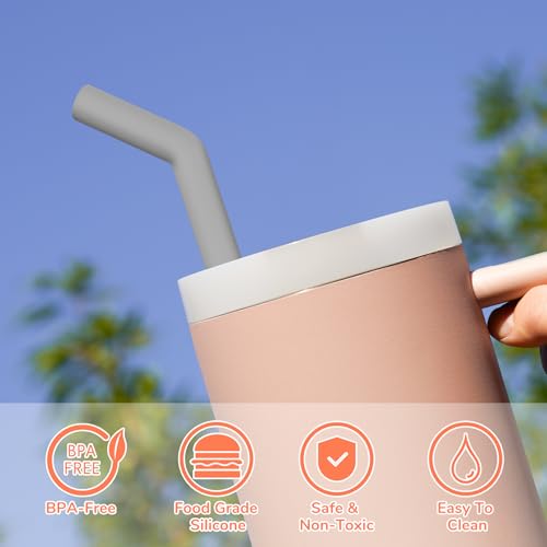 6PCS Stainless Steel Straws with Silicone Tip Fit for Stanley Cup (6 Count)