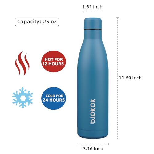 25 oz Insulated Stainless Steel Water Bottle