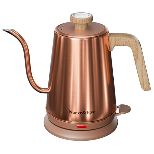 Electric Gooseneck Kettle with Thermometer