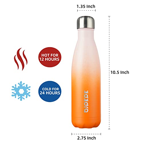 17 oz Insulated Water Bottle