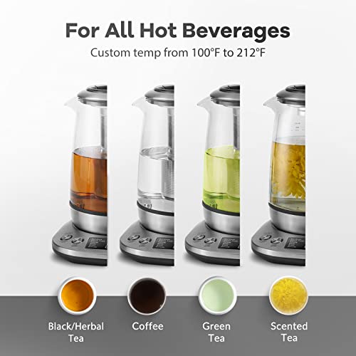 Electric Tea Kettle Borosilicate Glass Tea Maker With Temperature Control and Infuser