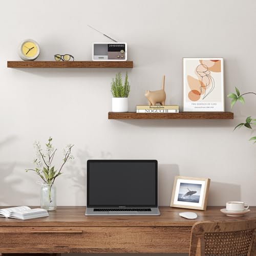 24 Inch Floating Shelves for Wall (2 Count)