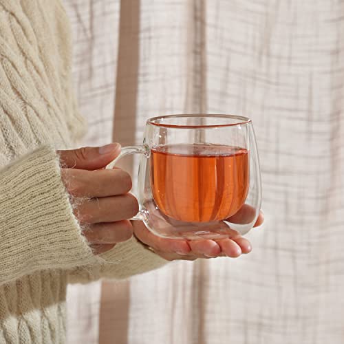 10oz Double Walled Glass Coffee Mugs (2 Count)