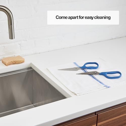 Heavy Duty Kitchen Shears